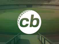 调整与适应 调整与适应